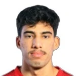 Фарес Саид Амер