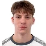 Фране Бистре