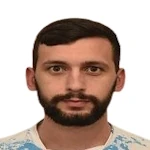 Вице Биркиć