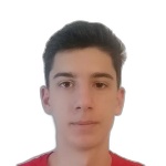 Эмин Сарич