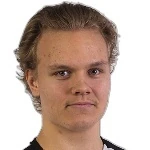 Ниило Мартитайнен