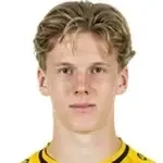 Найнингер Тилль