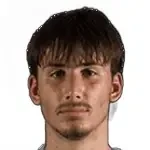 Вук Драшич