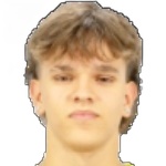 Давид Алвеш