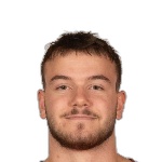 Бор Розина