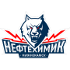 Нефтехимик Нижнекамск