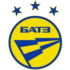 БАТЭ Борисов