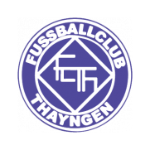 ФК Тайнген