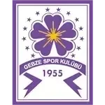 Гюзиде Гебзеспор U19