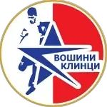 ФК Вошини Клинцы U17