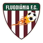 ФлуГояния U11