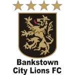 Банкстаун Сити ФК U23