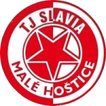 TJ Славия Мале Гоштице