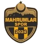 Кайсери Махрумларспор