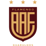 Фламенго де Гуарульос U11