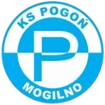 Погонь Могильно