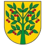 Амазонка Виснев