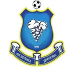 ФК Велика Дренова