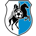 Завиша Жгув