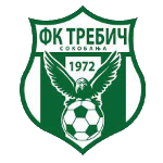 ФК Требич Сокобаня