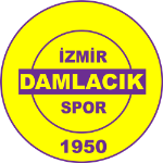Дамладжыкспор