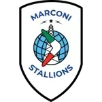 Маркони Стэллионз U20