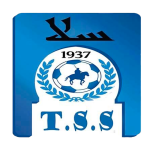 ТС 2 Сале