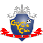 Каскад YC