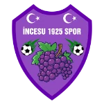 Инджесу 1925 Спор