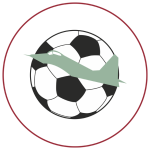 ФК Равнец 2011 Равнец