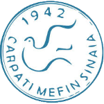 Карпаци МЕФИН Синая