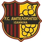 АО Ампелокипи Иоаннинон