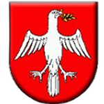 ТЙ Дружственик Чичаровце