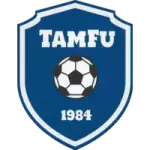 Таммер-Футис