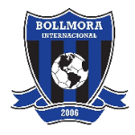 Болльмора Интер ИКФ