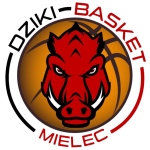 ДЗИКИ Мелец
