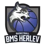 БМС Херлев U13