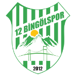 12 Бингёльспор U15