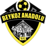 Бейкоз Анадолу Спор U14