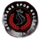 Реферансспор U17