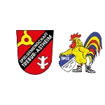 ЮСГ Требур/Баушхайм U15