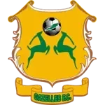 Газельс ФК (жен.)