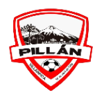 Пиллан U13