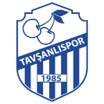 Тавшанлыспор