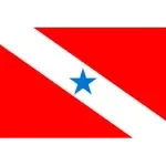 Пара