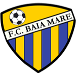 ФК Бая-Маре U19