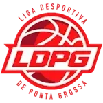 ЛДПГ Понта-Гросса U15