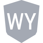 Уикомб Уондерерс ЛФК (жен.)