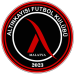 Алтынкайысы ФК U13