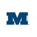 Миллыкин Биг Блю
